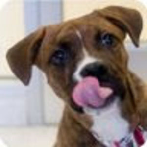 Meet your Posher, Matthias